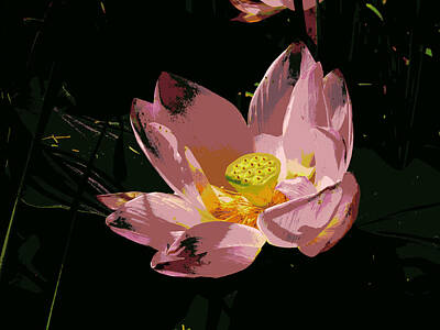 Modern Man Classic London - Lotus Blossom Posterized by Mike McBrayer