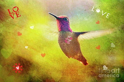 Cowboy Royalty Free Images - Lovestruck Hummingbird Royalty-Free Image by Debby Pueschel