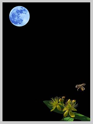 Roses Paintings - Luna, Bee and Flower Minimalist Poster v1 by Celestial Images