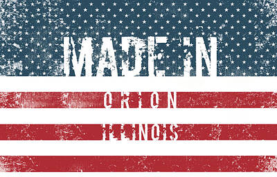 Childrens Rooms - Made in Orion, Illinois #Orion #Illinois by TintoDesigns