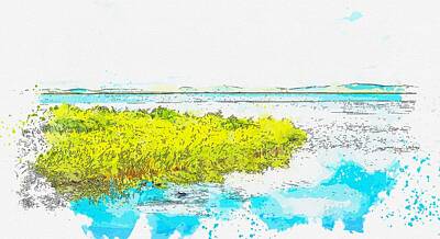 Abstract Ink Paintings In Color - Marsh watercolor by Ahmet Asar by Celestial Images