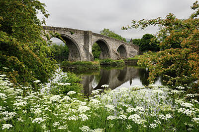 Easter Bunny - Medieval stone arch Old Stirling Bridge over the River Forth wit by Reimar Gaertner