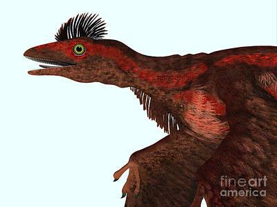 Animals Digital Art - Microraptor Dinosaur Head by Corey Ford