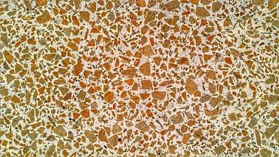 Target Threshold Nature Royalty Free Images - Mid Century Terrazzo Royalty-Free Image by Christopher Lotito