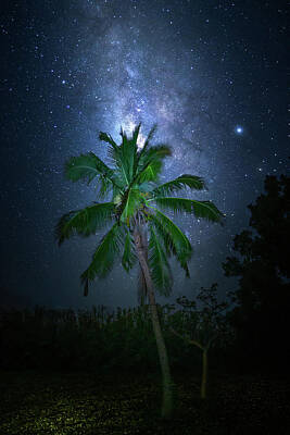Mark Andrew Thomas Royalty Free Images - Milky Way Coconuts Royalty-Free Image by Mark Andrew Thomas