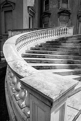 For The Cat Person - Mills Mansion Stairway NY 0205 by Bob Neiman