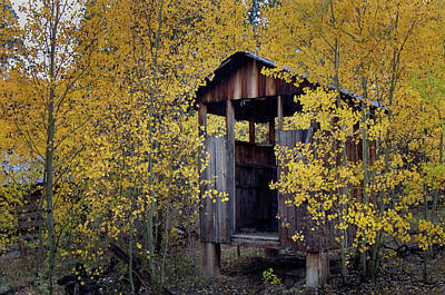 Sultry Plants - Miners Delight Smoke House in Fall by Laura Terriere