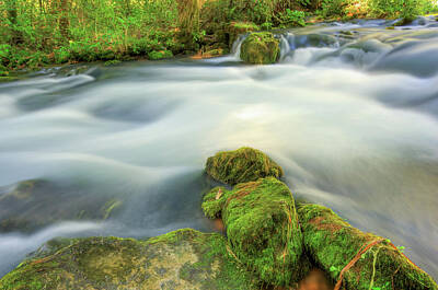 Landscapes Royalty-Free and Rights-Managed Images - Missouri Mossy River Landscape by Gregory Ballos
