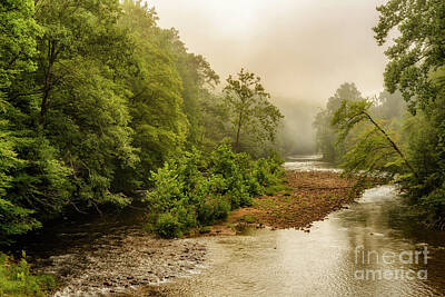 Jazz Collection - Misty Summer Morning Williams River by Thomas R Fletcher
