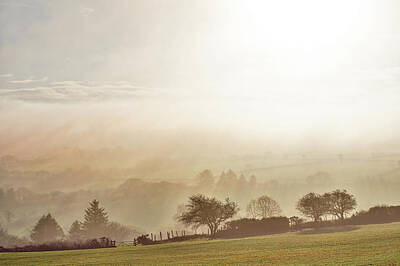 Catch Of The Day - Misty Wales by Mark Llewellyn