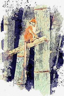 Too Cute For Words Royalty Free Images - MONKEY IN THE BAMBOO FOREST -  watercolor by Ahmet Asar Royalty-Free Image by Celestial Images