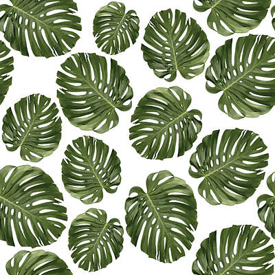 Royalty-Free and Rights-Managed Images - Monstera Leaf Pattern - Tropical Leaf Pattern - Green - Tropical, Botanical - Modern, Minimal - 1 by Studio Grafiikka