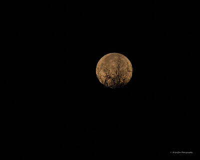 Moody Trees - Moon Hiding in the Brush II by Al Griffin