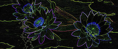 Lilies Digital Art - Moonlight Water Lilies by Krista Kulas