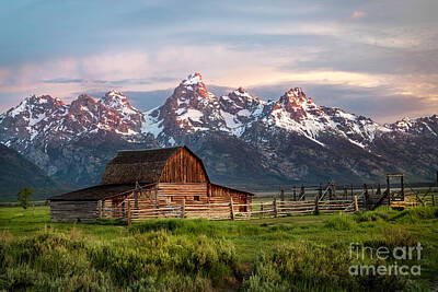 Food And Flowers Still Life - Mormon Row Barn and the Grand Teton Mountain Range by Ronda Kimbrow