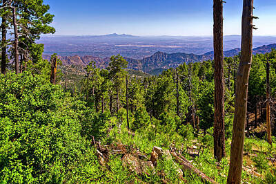 Mark Myhaver Photo Royalty Free Images - Mt Lemmon Vista h1910 Royalty-Free Image by Mark Myhaver