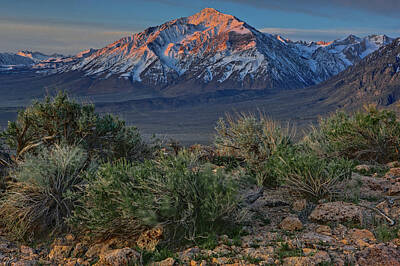 Mountain Royalty Free Images - Mt Tom first light Royalty-Free Image by Ralph Nordstrom