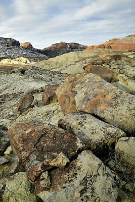 Shaken Or Stirred - Multi-Colored Boulder on Ruby Mountain by Ray Mathis