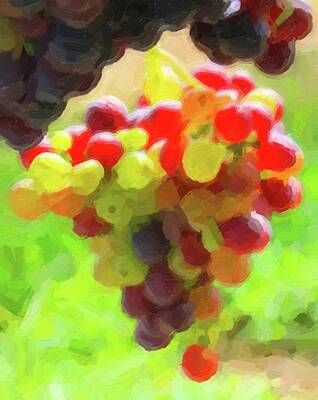 Frog Photography - Multi-Colored Grapes 4 by Cathy Lindsey