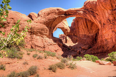 Sultry Plants - Multiple Arches Moab Utah by Douglas Barnett