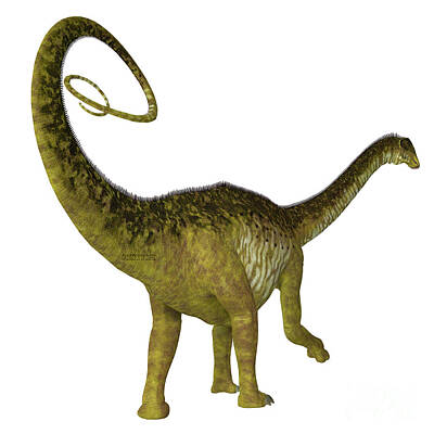 Pattern Tees - Nigersaurus Dinosaur Tail by Corey Ford