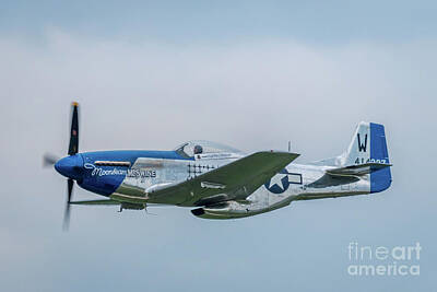 Landmarks Rights Managed Images - North American P-51 D Mustang Royalty-Free Image by Paul Quinn