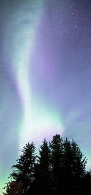 Ballerina Art Royalty Free Images - Northern Lights in Southeast Alaska Royalty-Free Image by Michele Cornelius