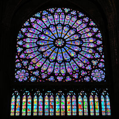 Roses Photos - Notre Dame Cathedral South Transept Rose Window by Stephen Stookey