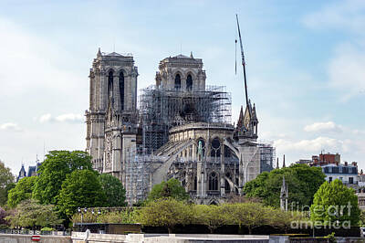 Lazy Cats - Notre Dame de Paris, the day after the fire by Ulysse Pixel