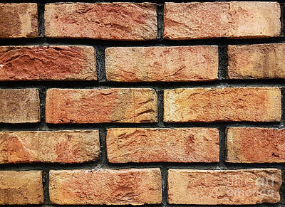 Railroad - Old brick wall by Wdnet Studio