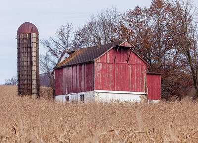 Vintage Baseball Players - Old Red Barn In Cornfield by Don Valentine