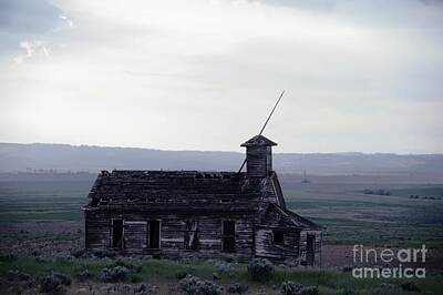 Birds Royalty-Free and Rights-Managed Images - Old schoolhouse outside of Bickleton Washington by Jeff Swan