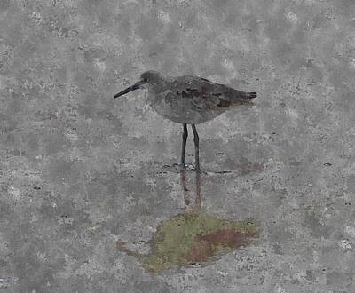 Fruit Photography Royalty Free Images - One Little Sandpiper 10 Royalty-Free Image by Cathy Lindsey