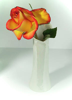 Abstract Square Patterns - Orange and Yellow Rose in A Vase by Cordia Murphy