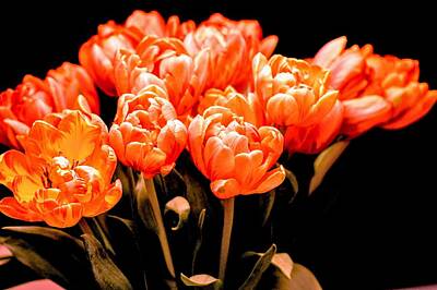 Steampunk Royalty Free Images - Orange blooms  Royalty-Free Image by Bruce Matczak