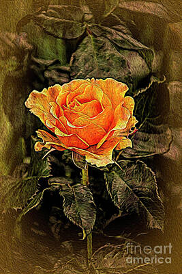 Space Photographs Of The Universe - Orange Rose in oils by Chris Thaxter