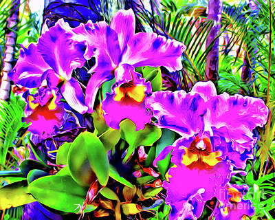 Nursery Room Signs Rights Managed Images - Orchids Hawaii Royalty-Free Image by Jerome Stumphauzer