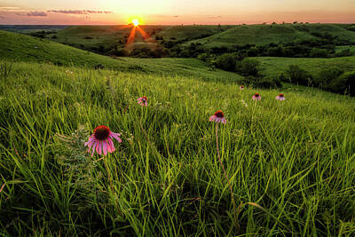 Scott Bean Photo Rights Managed Images - Out In The Flint Hills Royalty-Free Image by Scott Bean