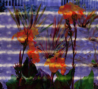 Lilies Digital Art - Painted lilies abstract by Cathy Anderson