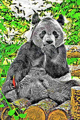 Travel Pics Digital Art Royalty Free Images - Panda. Musings. Carrot. Royalty-Free Image by Andy i Za