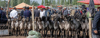 Country Road - Panorama of buyers and sellers at sheep market, Kashgar, China by Karen Foley