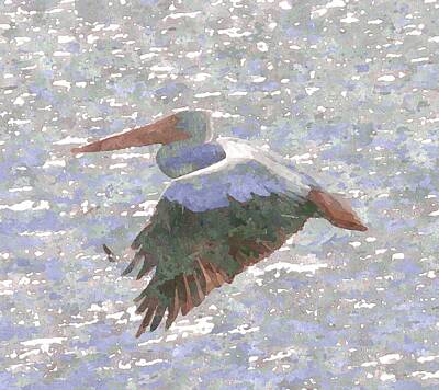 David Bowie Royalty Free Images - Pelican Flying Over Pea Island 8 Royalty-Free Image by Cathy Lindsey