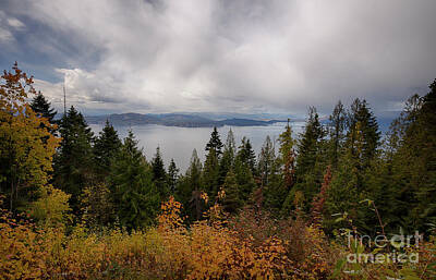 Animal Surreal - Pend Oreille Autumn View by Idaho Scenic Images Linda Lantzy