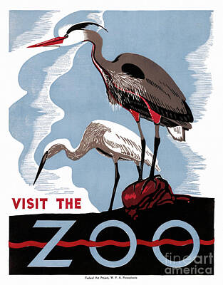 Birds Drawings Royalty Free Images - Pennsylvania Zoo Vintage Advertising Poster Restored Royalty-Free Image by Vintage Treasure