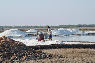 Boho Christmas - People working on the salt beds at Little Rann Sanctuary by Carol Ailles