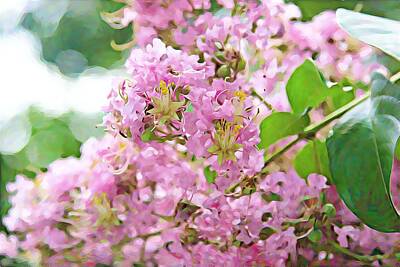 Wild And Wacky Portraits - Pink Crepe Hanging Myrtle Blossoms  by Cathy Lindsey
