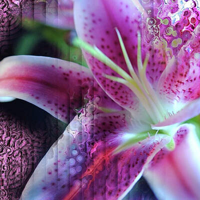 Jazz Collection - Pink Lily Abstract by Cindy Boyd
