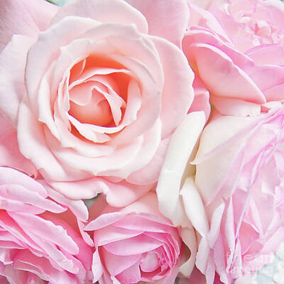 Roses Photo Royalty Free Images - Pink Roses Royalty-Free Image by Sylvia Cook