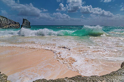 Fine Dining - Pink Sand Beach Bermuda by Betsy Knapp