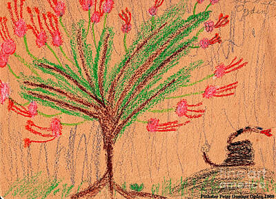 Reptiles Drawings Royalty Free Images - Pinxters Wild Azaleas and Rattlesnake Childs Folk Art 1968 Royalty-Free Image by Peter Ogden